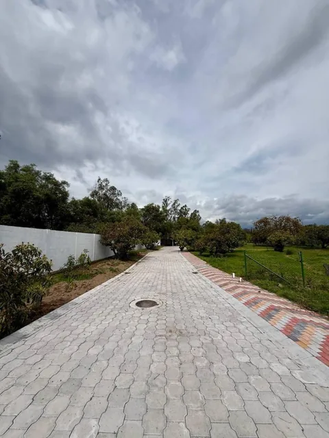 Terreno - en Venta - Puembo 819 m² — imagen 2