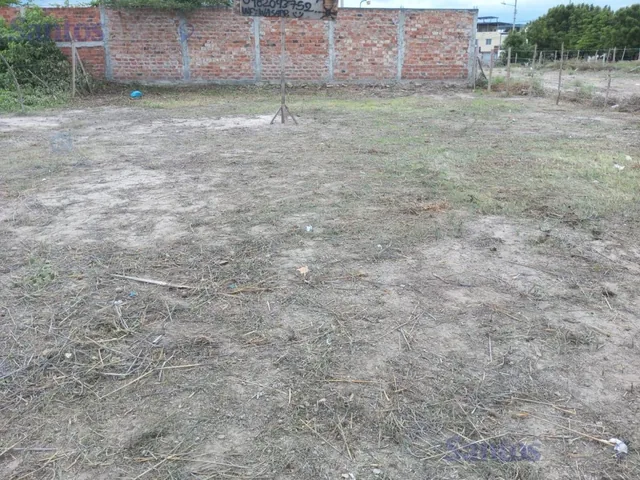 Terreno en Elegolé, Manabí — imagen 4