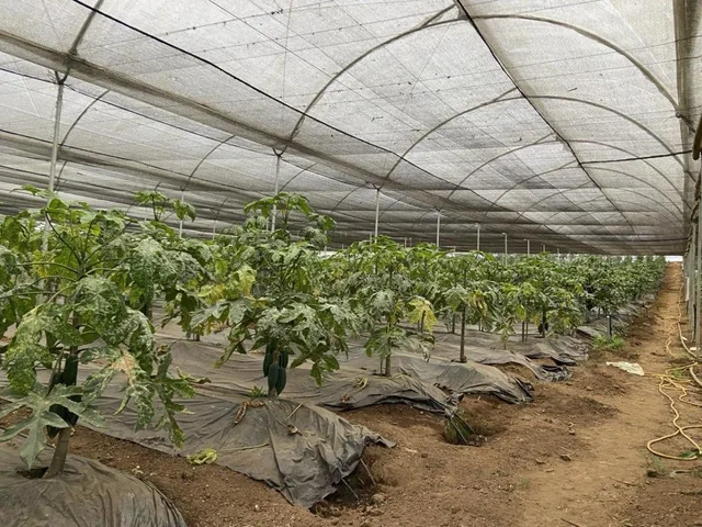 Terreno Agrícola con Casa San Vicente (Prov. Bolívar) — imagen 3