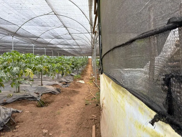 Terreno Agrícola con Casa San Vicente (Prov. Bolívar) — imagen 2