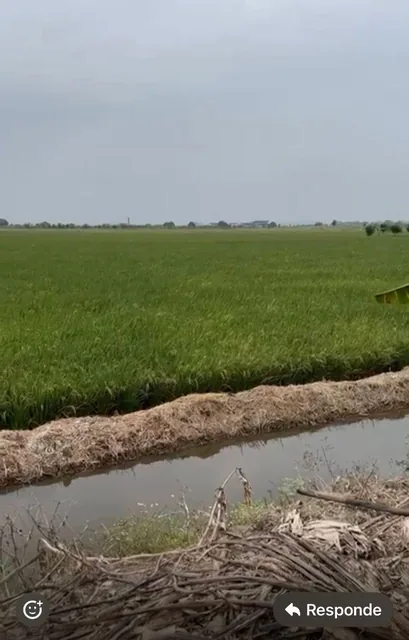 Venta Terrno de 4.600 m² en La Via El Pan Yaguachi, Guayas — imagen 3