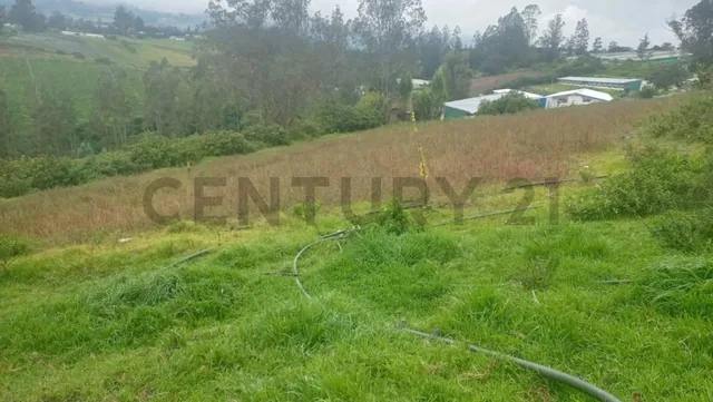 Terreno de Venta en Yaruqui, Chinangachi — imagen 5