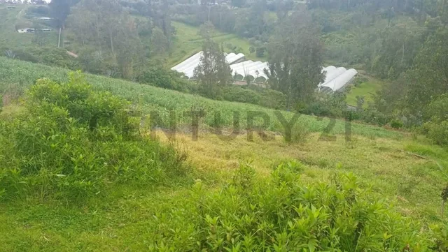 Terreno de Venta en Yaruqui, Chinangachi — imagen 2