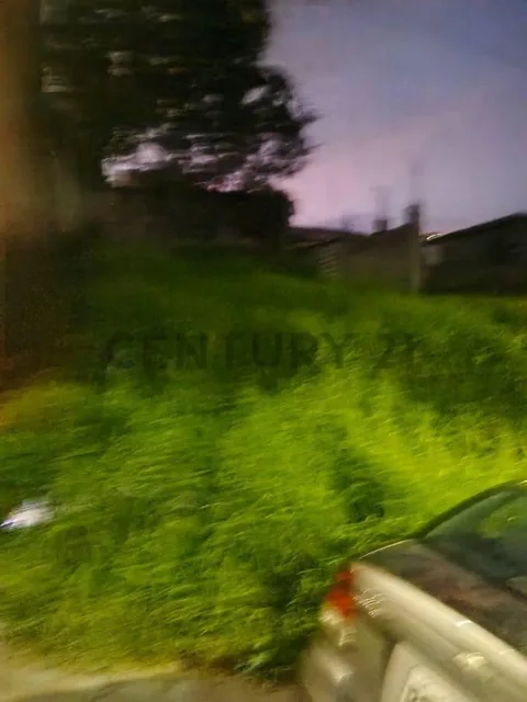 Terreno La Bota. Comite del Pueblo. Oportunidad — imagen 4
