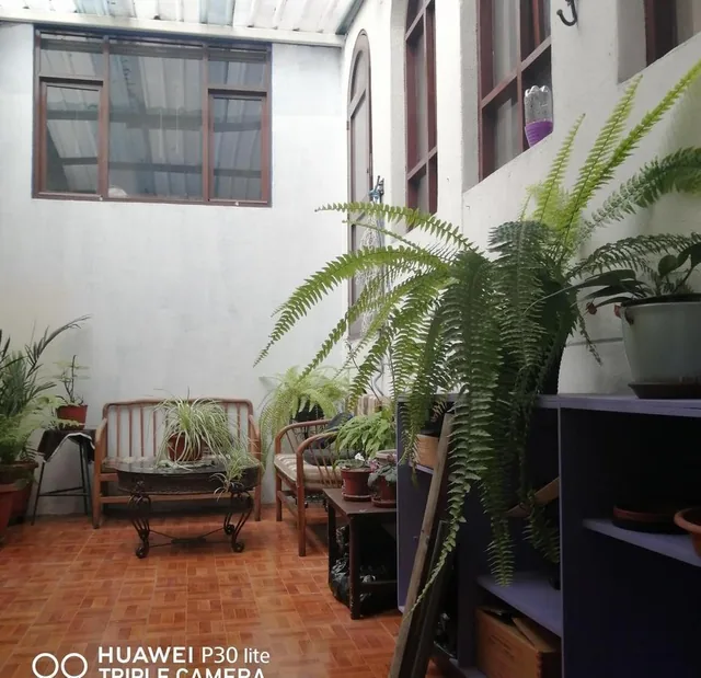 Venta de Casa con 2 Departamentos Indenpendientes en Dammer 2 — imagen 4