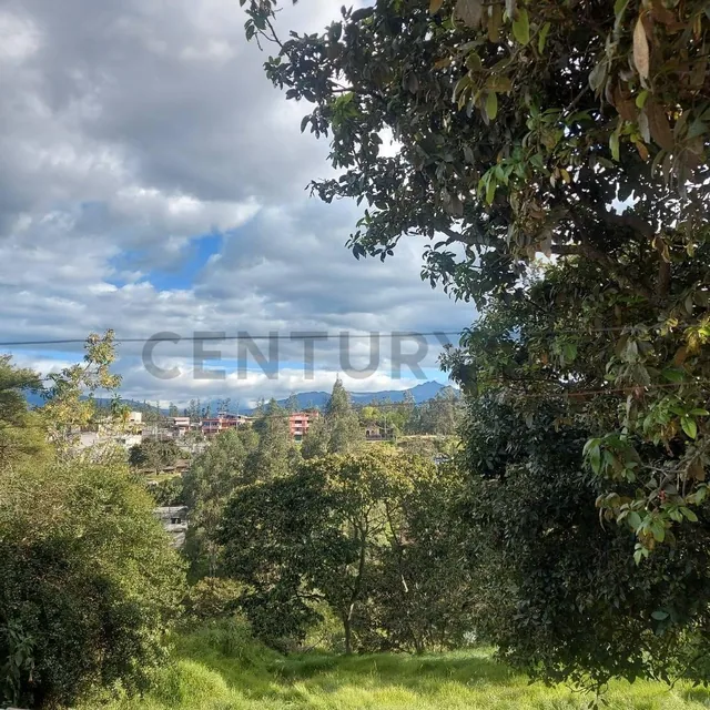 En Venta Terreno en Campo Alegre. Donde Se Construyen Propiedades de Alto Valor — imagen 3