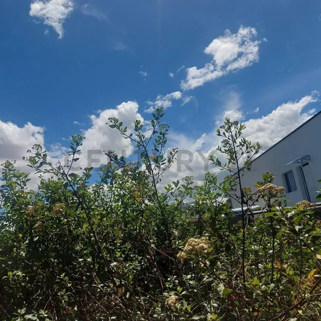 En Venta Terreno en Campo Alegre. Donde Se Construyen Propiedades de Alto Valor — imagen 2