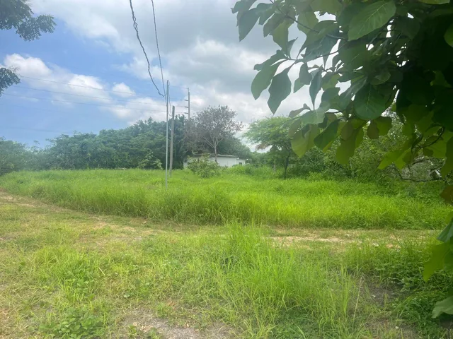 Venta 1 Has en La Avda, Miguel Yunez, Vía a Samborondón Km 15, Cerca a Dinatek, Cerca de Numa, Etc. Guayas — imagen 4