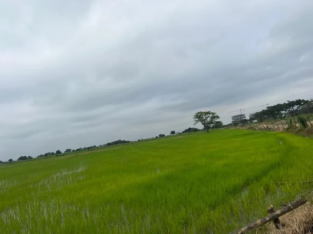 Venta 1 Has en La Avda, Miguel Yunez, Vía a Samborondón Km 15, Cerca a Dinatek, Cerca de Numa, Etc. Guayas — imagen 2