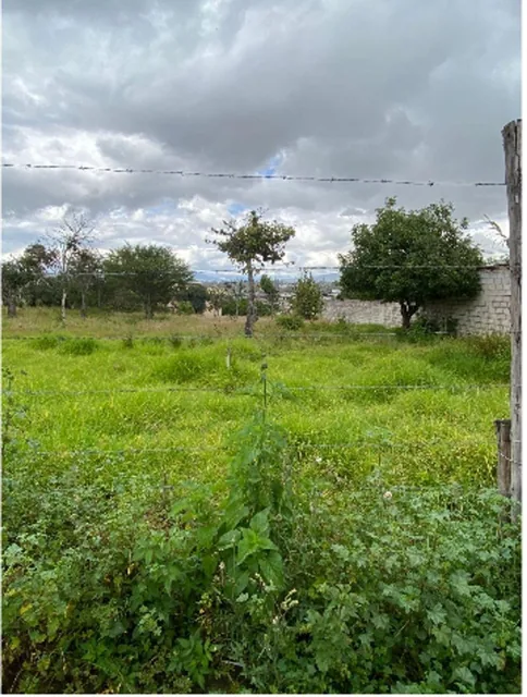 Tumbaco Terreno en Venta de Oportunidad — imagen 2
