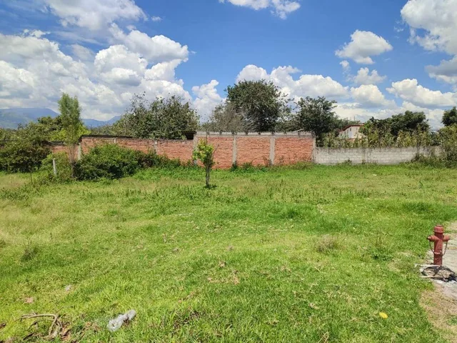 Vendo Terreno Idependiente, Sector Tumbaco — imagen 4