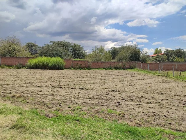 Vendo Terreno Idependiente, Sector Tumbaco — imagen 3