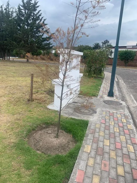 Venta Terreno 693 m² Tumbaco Dentro de Conjunto — imagen 5