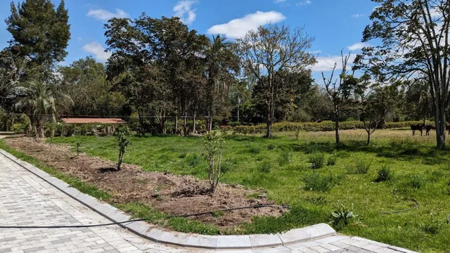 Terreno de Venta Checa Dentro de Hermosa Urbanizacion. ultimo Lote — imagen 3