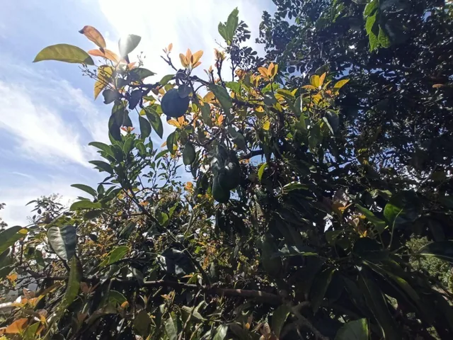 Terreno en Venta en Guayllamba — imagen 3