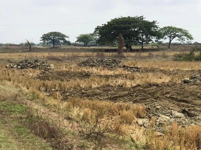 Vendo Terreno Lotizacion Buijo 1337 m² Samborondon, Guayas — imagen 3