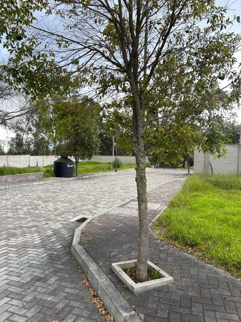 Venta Terrenos Desde 425 m² a 896 m² Puembo — imagen 2