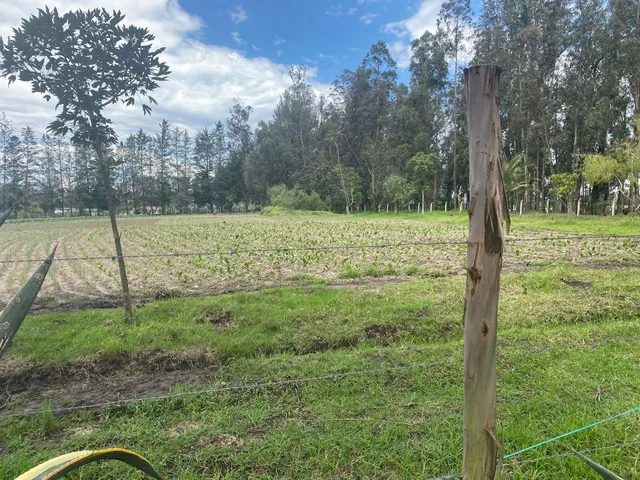 Sector Aeropuerto Tababela Terreno de Venta 37.450 m² — imagen 4