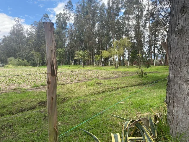 Sector Aeropuerto Tababela Terreno de Venta 37.450 m² — imagen 3