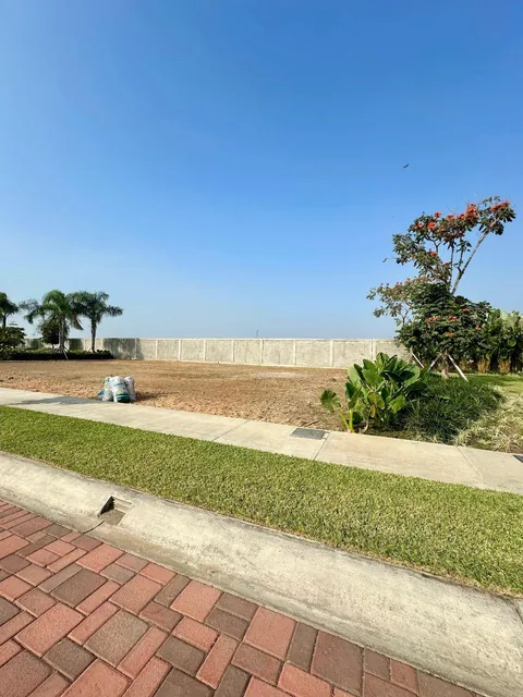 7038. Urb. Punta Barranca 100 - Samborondon, Vendo Terreno 341 m², $175.000. Guayas — imagen 5