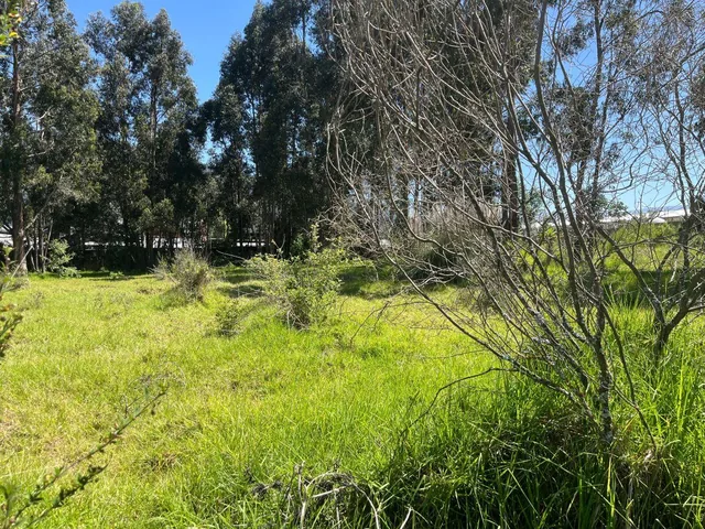 Los Chillos Terreno de Venta 9.089 m² — imagen 5