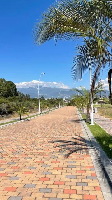 Lotes de Venta en Exclusiva Urbanización de Tumbaco La Cerámica — imagen 2