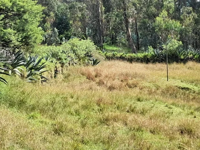 Terreno en Alangasi — imagen 5