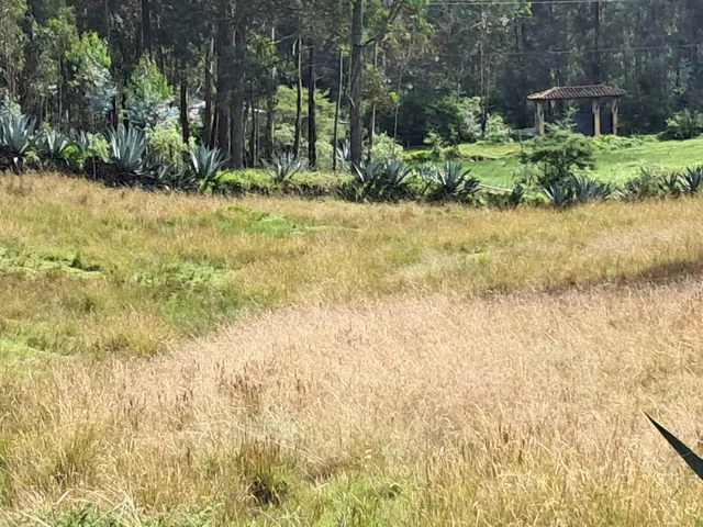 Terreno en Alangasi — imagen 4