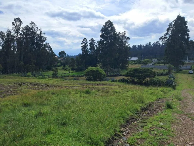 Terreno en Alangasi — imagen 3