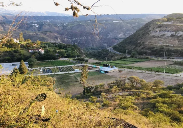 Jal. Venta Terreno Plano Cerca a Guayllabamba. 15.000 m² a $35 m² — imagen 3