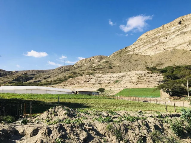 Jal. Venta Terreno Plano Cerca a Guayllabamba. 15.000 m² a $35 m² — imagen 2