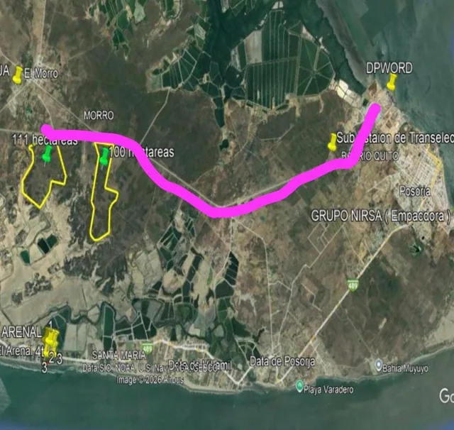Venta 111 Has en La Vía Puerto El Morro - Al Puerto de Aguas Profundas de Posorja de Posorja, Guayas — imagen 5