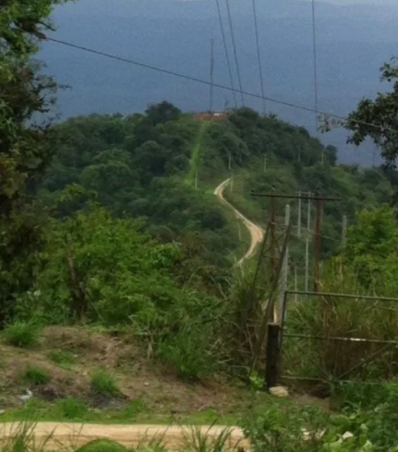 Venta 275 Has en Montecristi, Prov. de Manabí, en El Sitio Denominado Cerro Jaboncillo -, Manabí — imagen 5