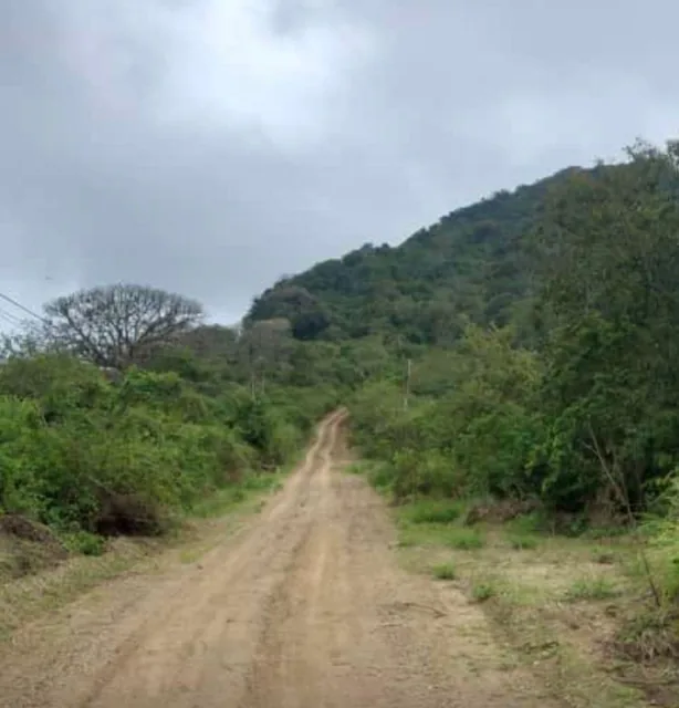 Venta 275 Has en Montecristi, Prov. de Manabí, en El Sitio Denominado Cerro Jaboncillo -, Manabí — imagen 2