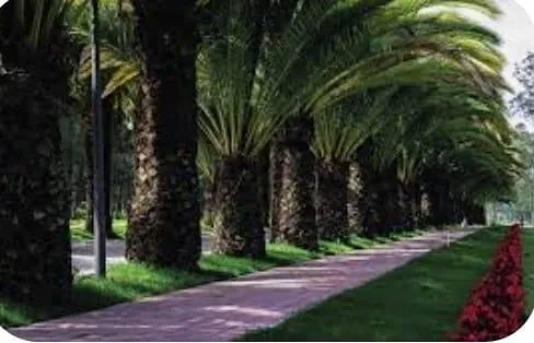 Hermoso Terreno Dentro de Urbanización de Lujo en Puembo — imagen 5
