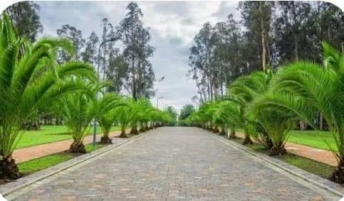 Hermoso Terreno Dentro de Urbanización de Lujo en Puembo — imagen 3