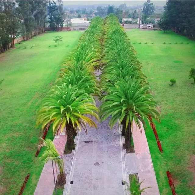 Hermoso Terreno Dentro de Urbanización de Lujo en Puembo — imagen 2