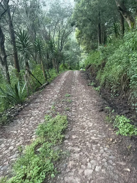 Vendo o Arriendo 14 Hc en Tumbaco Sector Tola Chica — imagen 3