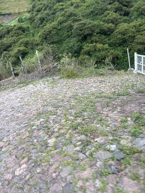Vendo o Arriendo 14 Hc en Tumbaco Sector Tola Chica — imagen 2