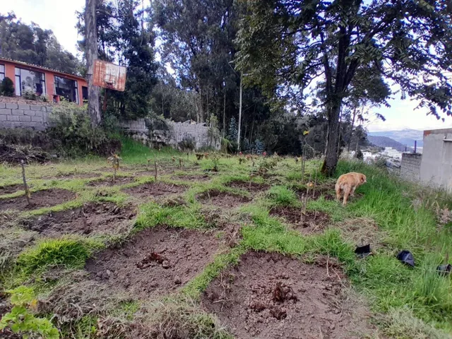 Terreno de 1200 m² en Venta en Cochapamba — imagen 5