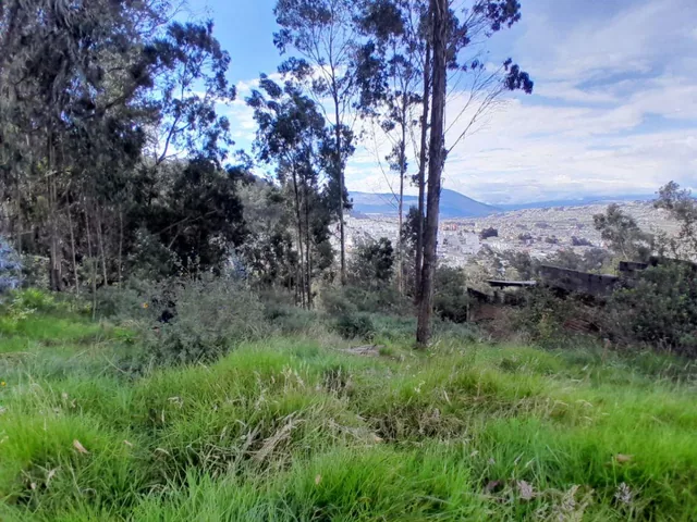Terreno de 1200 m² en Venta en Cochapamba — imagen 2