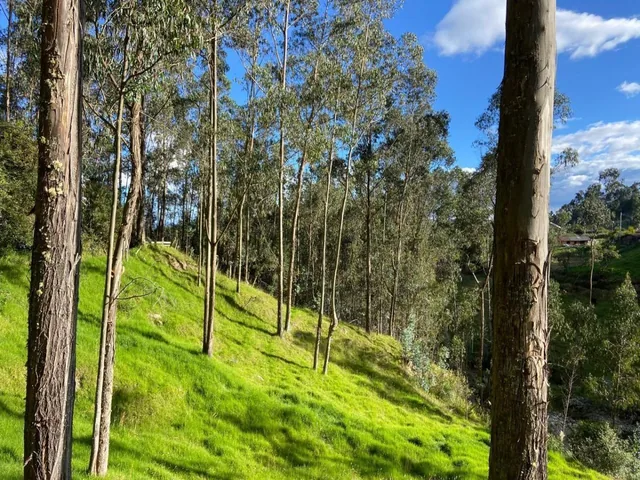Terreno con Casa, en Chiquintad. 14 Mil m, Azuay — imagen 4
