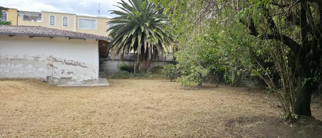 Renta Terreno Comercial 2392 m Manuela Saenz — imagen 2