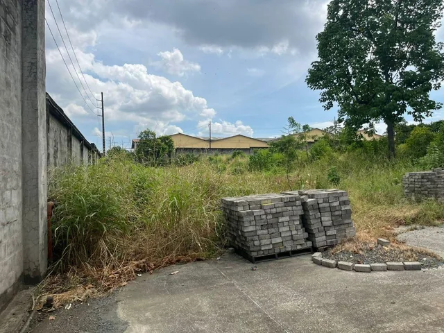 Terreno en Alquiler 13.000 m² - Vía a Daule Km 12.5 - Vía Perimetral - Norte de Guayaquil, Guayas — imagen 4