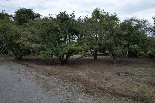 Vendo Hermoso Terreno Plano en Guayllabamba — imagen 4