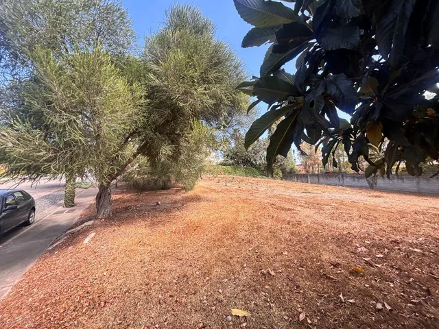 Terreno Exclusivo en La Vieja Hacienda – Cumbayá — imagen 4