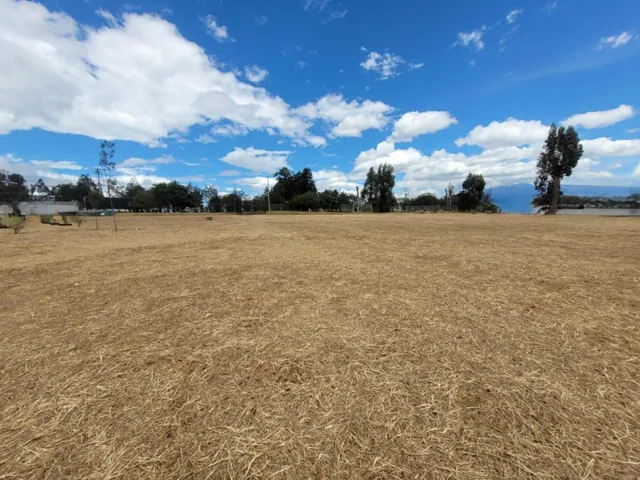 Terreno en Arriendo Uso de Suelo Múltiple — imagen 5