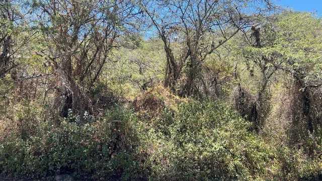 Tumbaco Terreno de Venta en La Urbanizacion La Viña — imagen 5