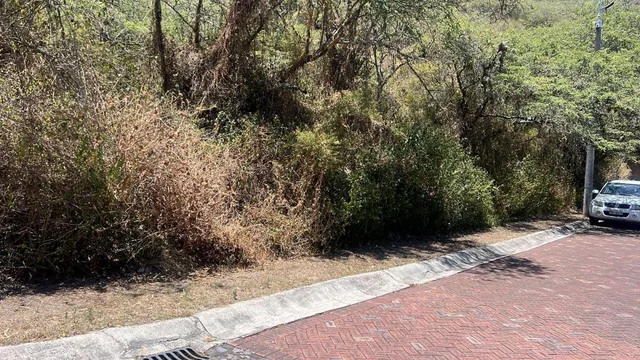 Tumbaco Terreno de Venta en La Urbanizacion La Viña — imagen 4