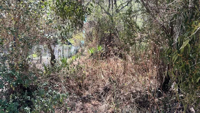 Tumbaco Terreno de Venta en La Urbanizacion La Viña — imagen 2